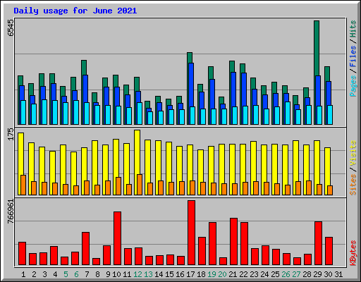 Daily usage for June 2021