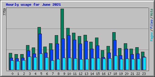 Hourly usage for June 2021