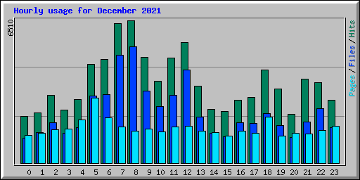 Hourly usage for December 2021